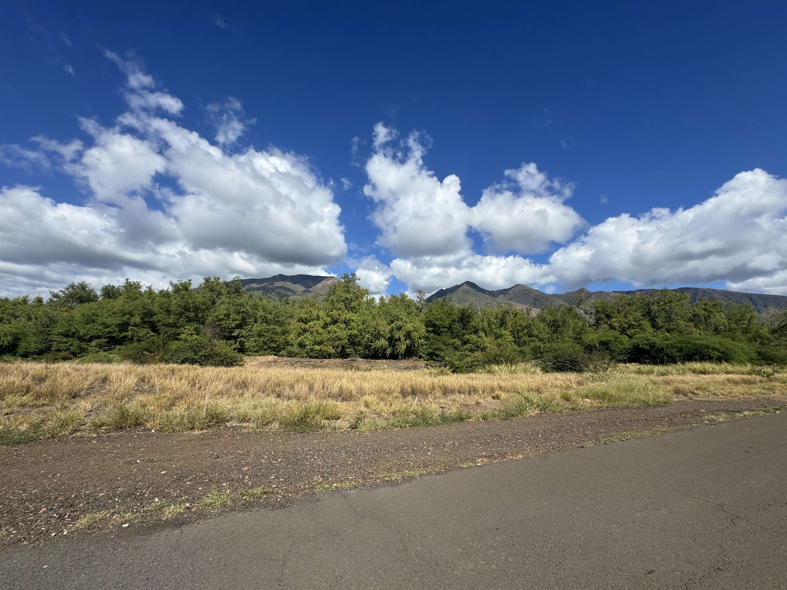 Maui Property Image
