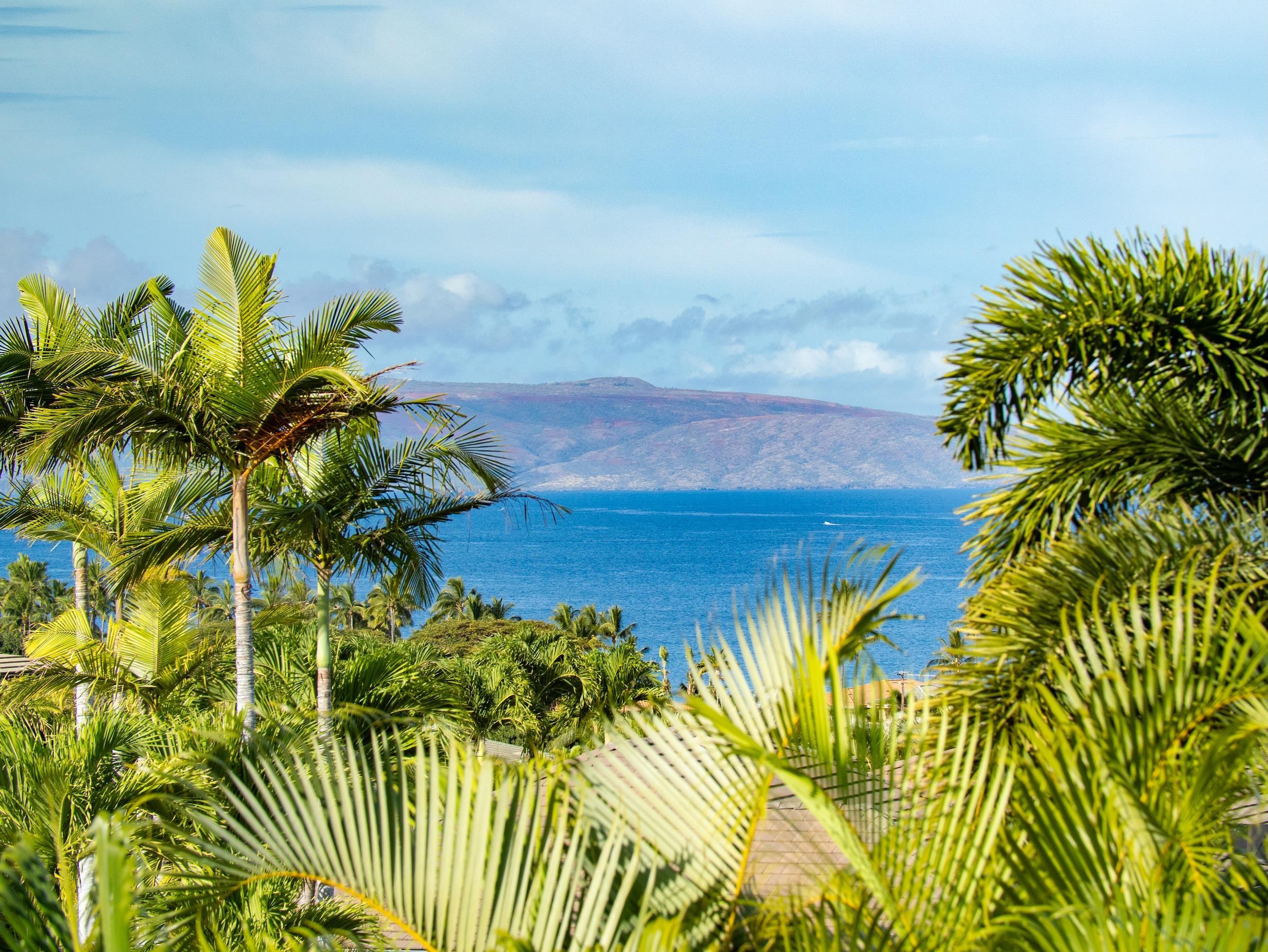 Maui Property Image