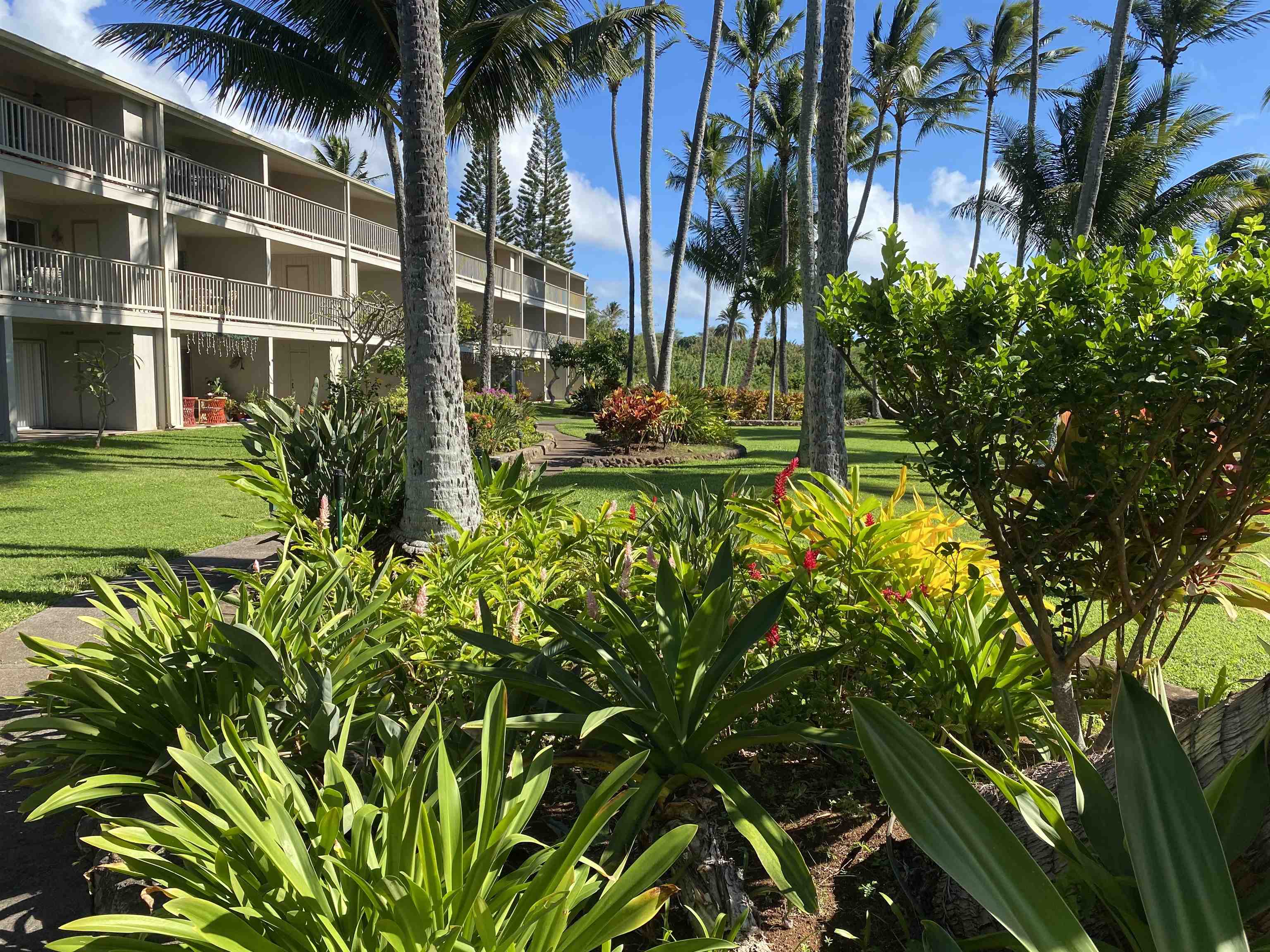 Maui Property Image