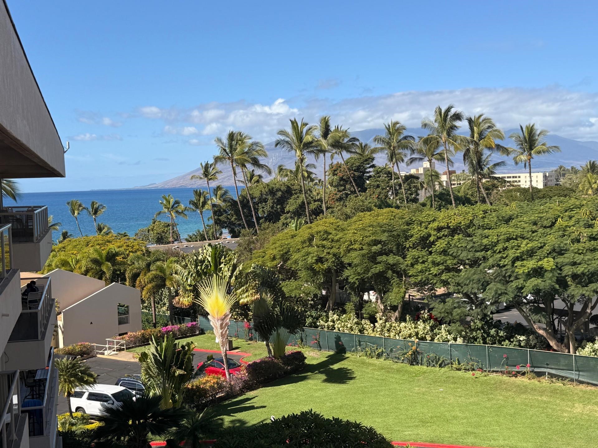 Maui Property Image
