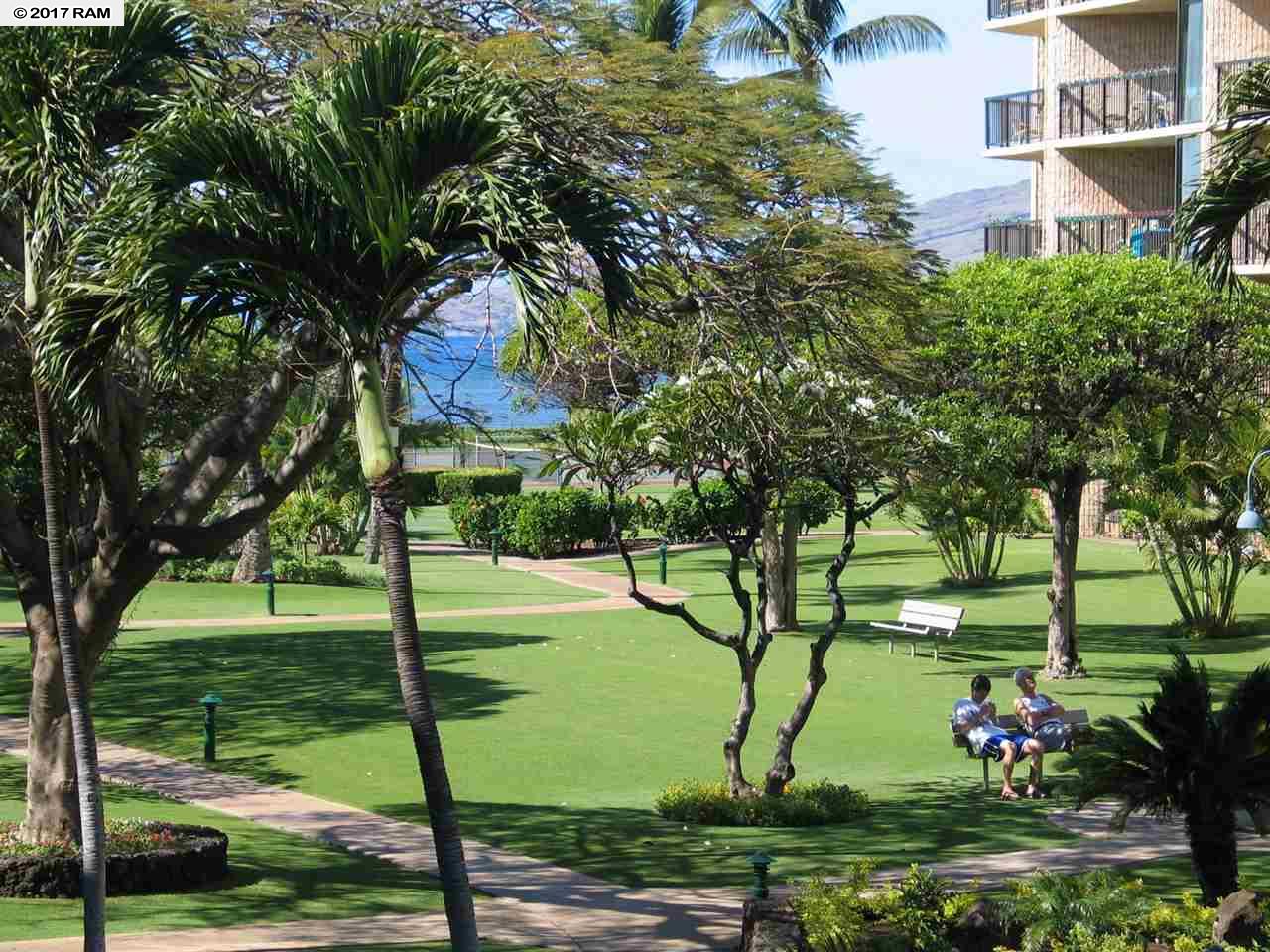 Maui Property Image