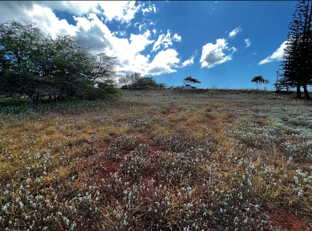 Maui Property Image