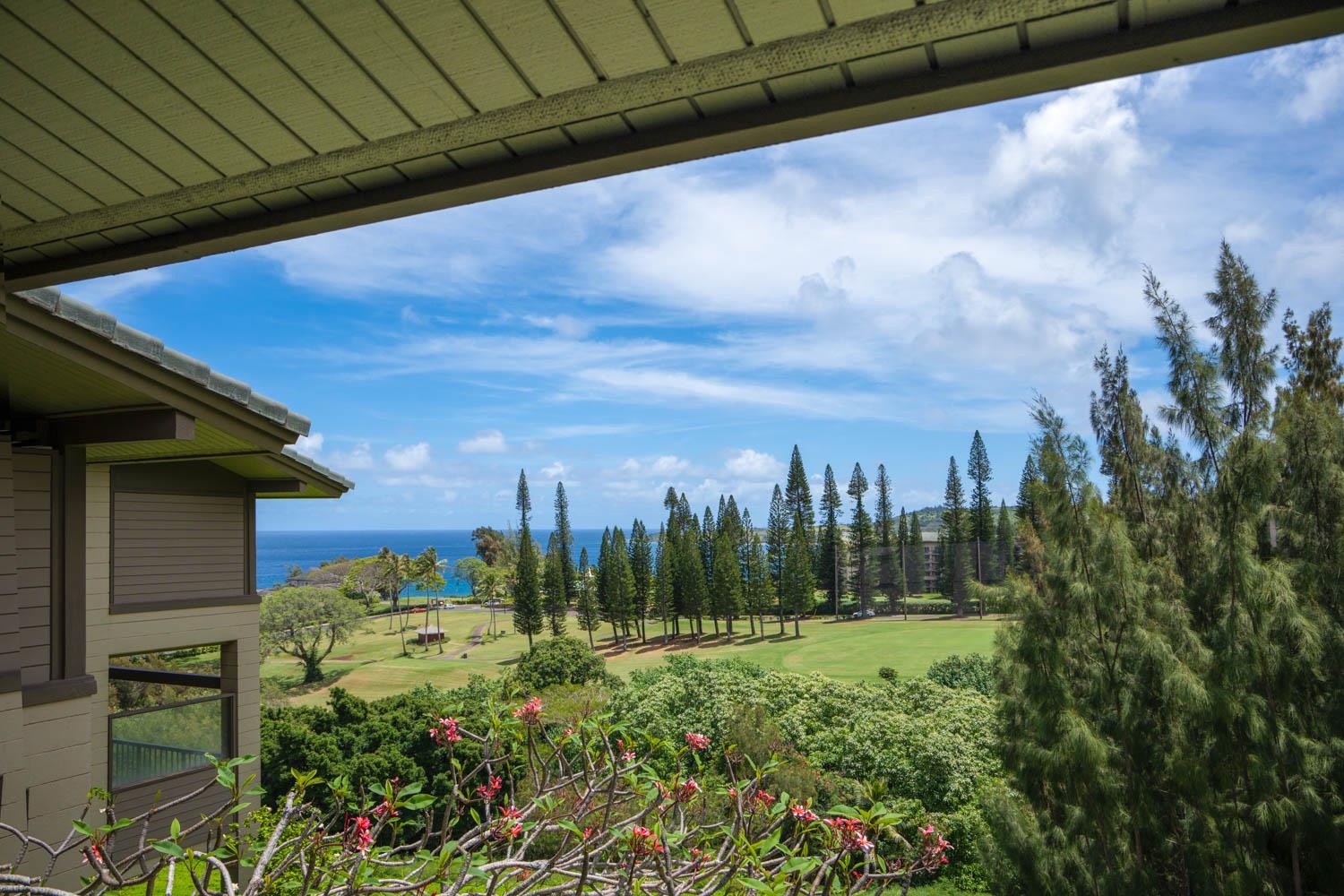 Condos For Sale in Kapalua, Maui