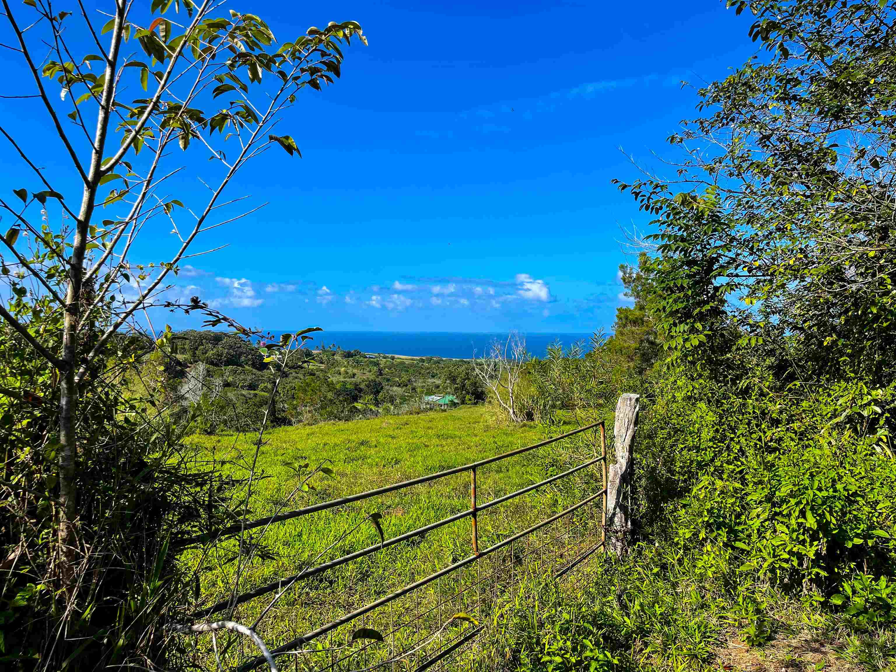 Maui Property Image