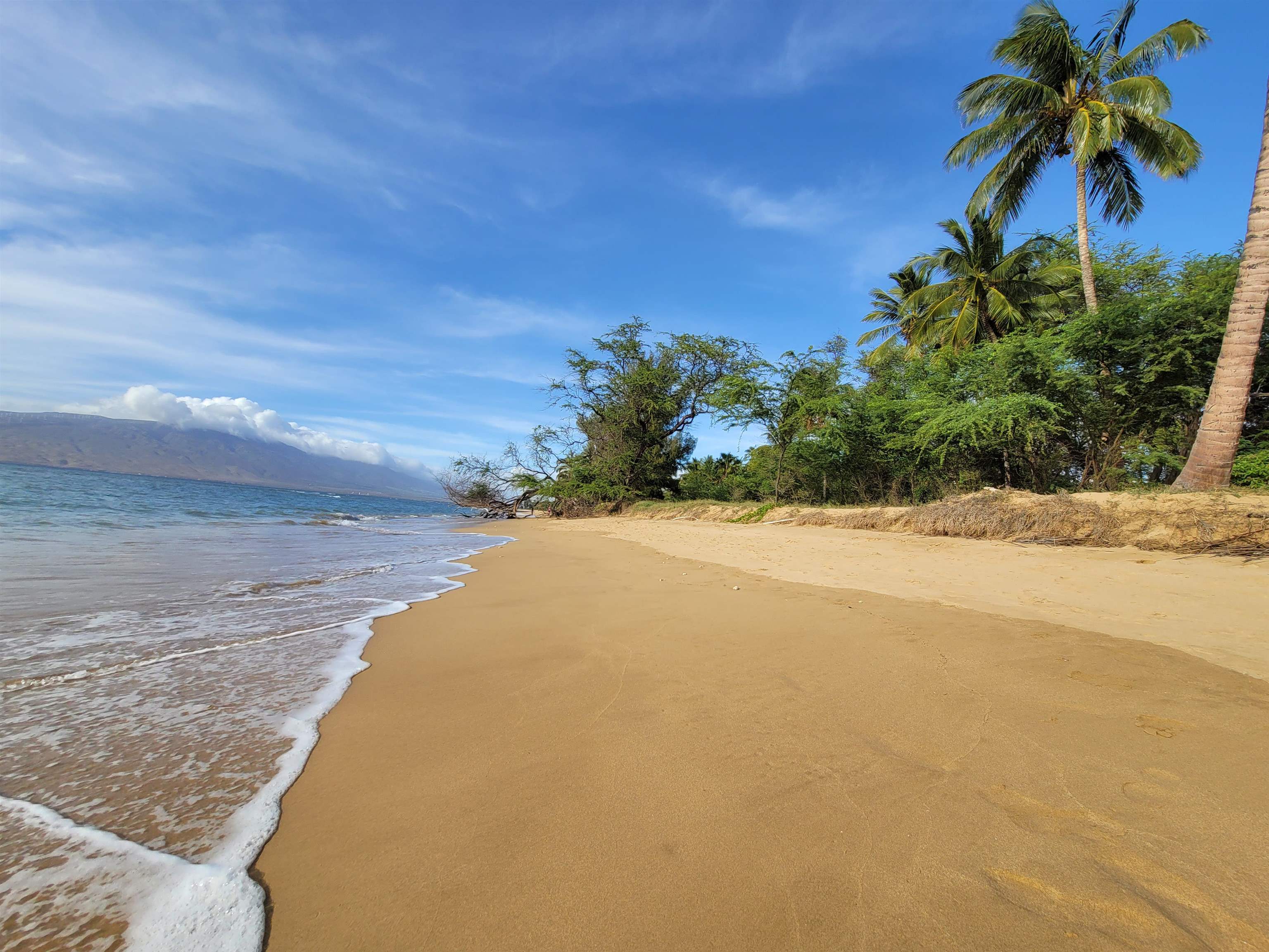 Maui Property Image