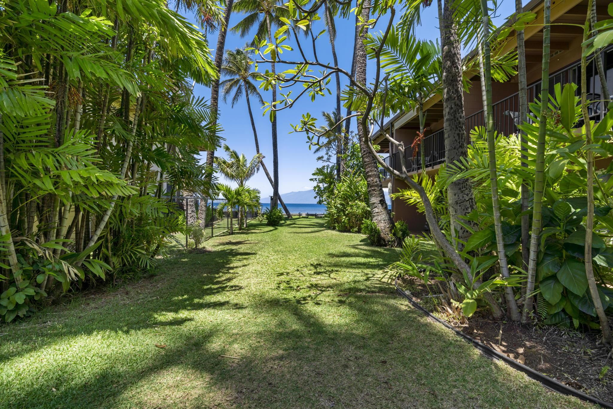 Maui Property Image