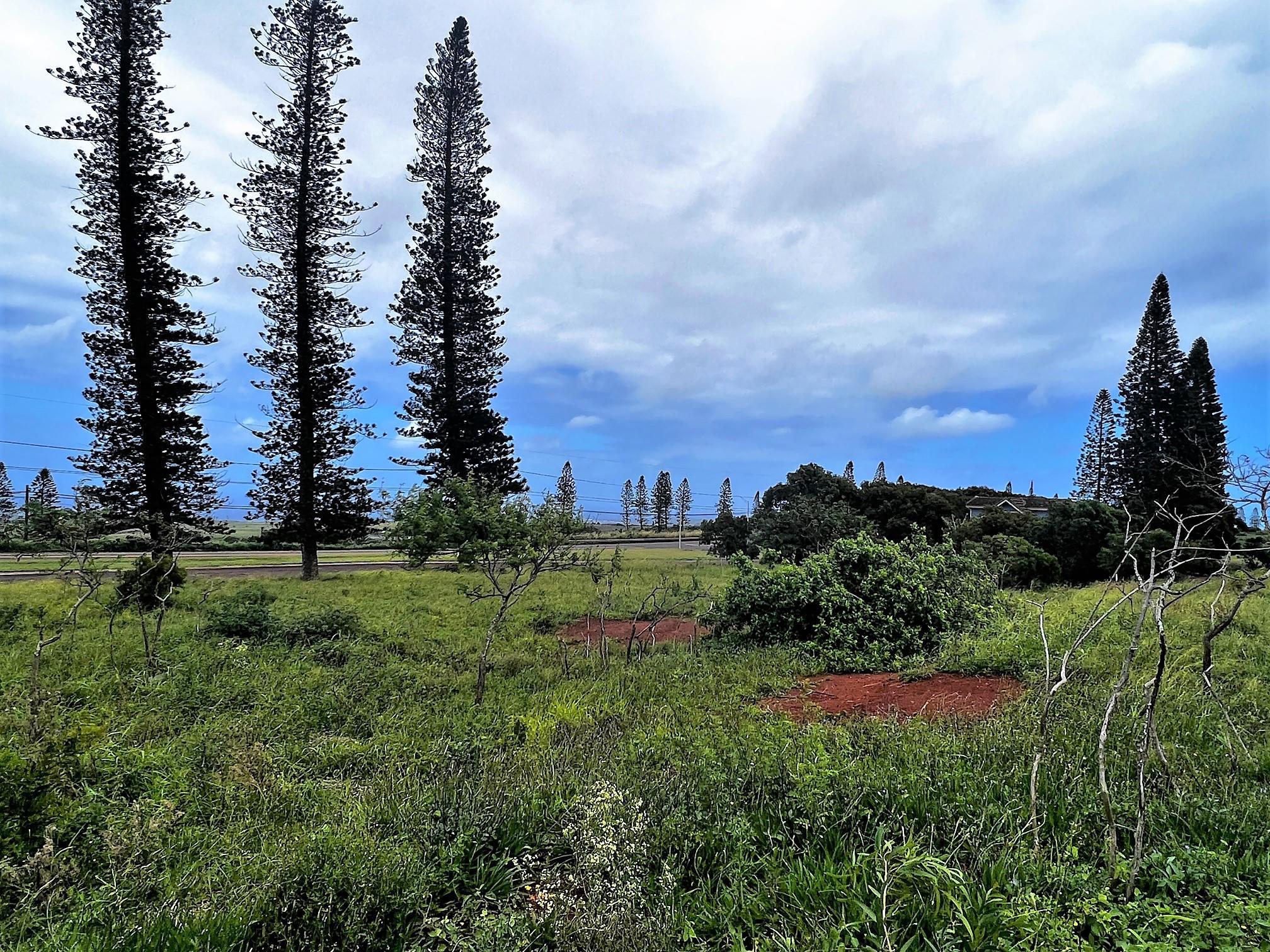 Maui Property Image