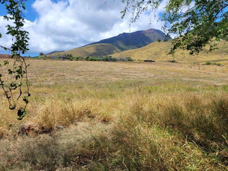 Maui Property Image