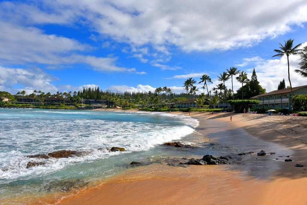 Maui Property Image