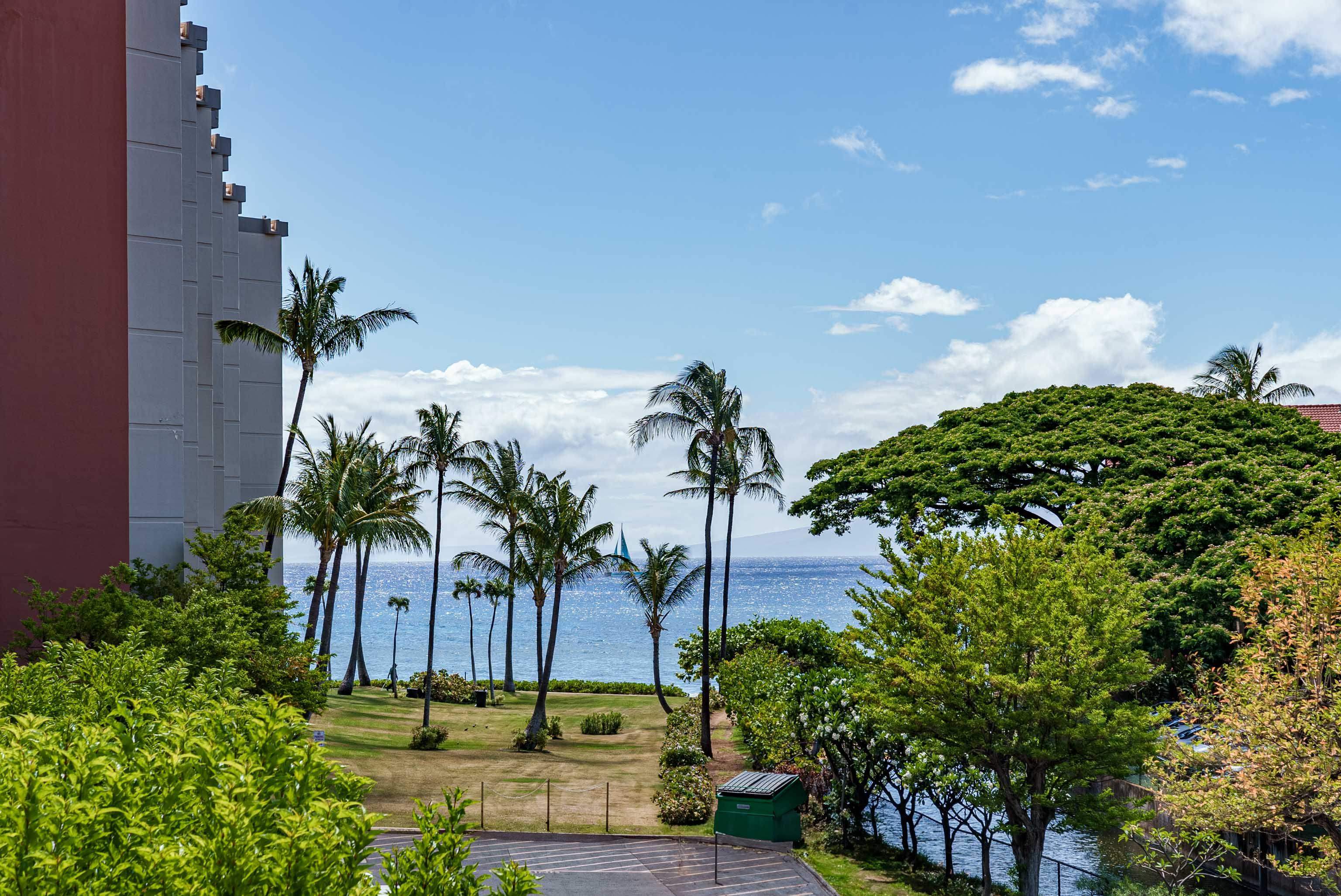 Maui Property Image