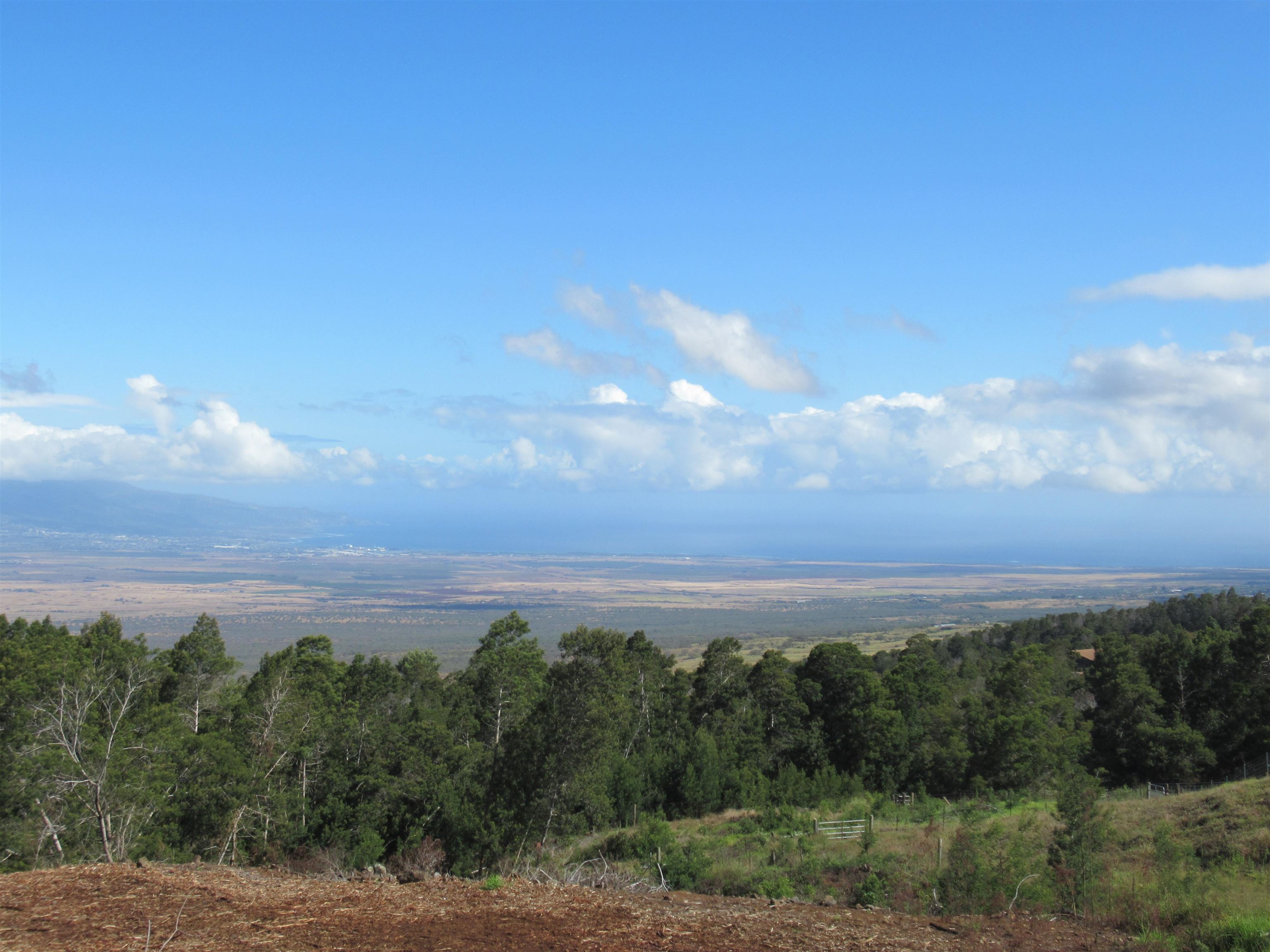 Maui Property Image