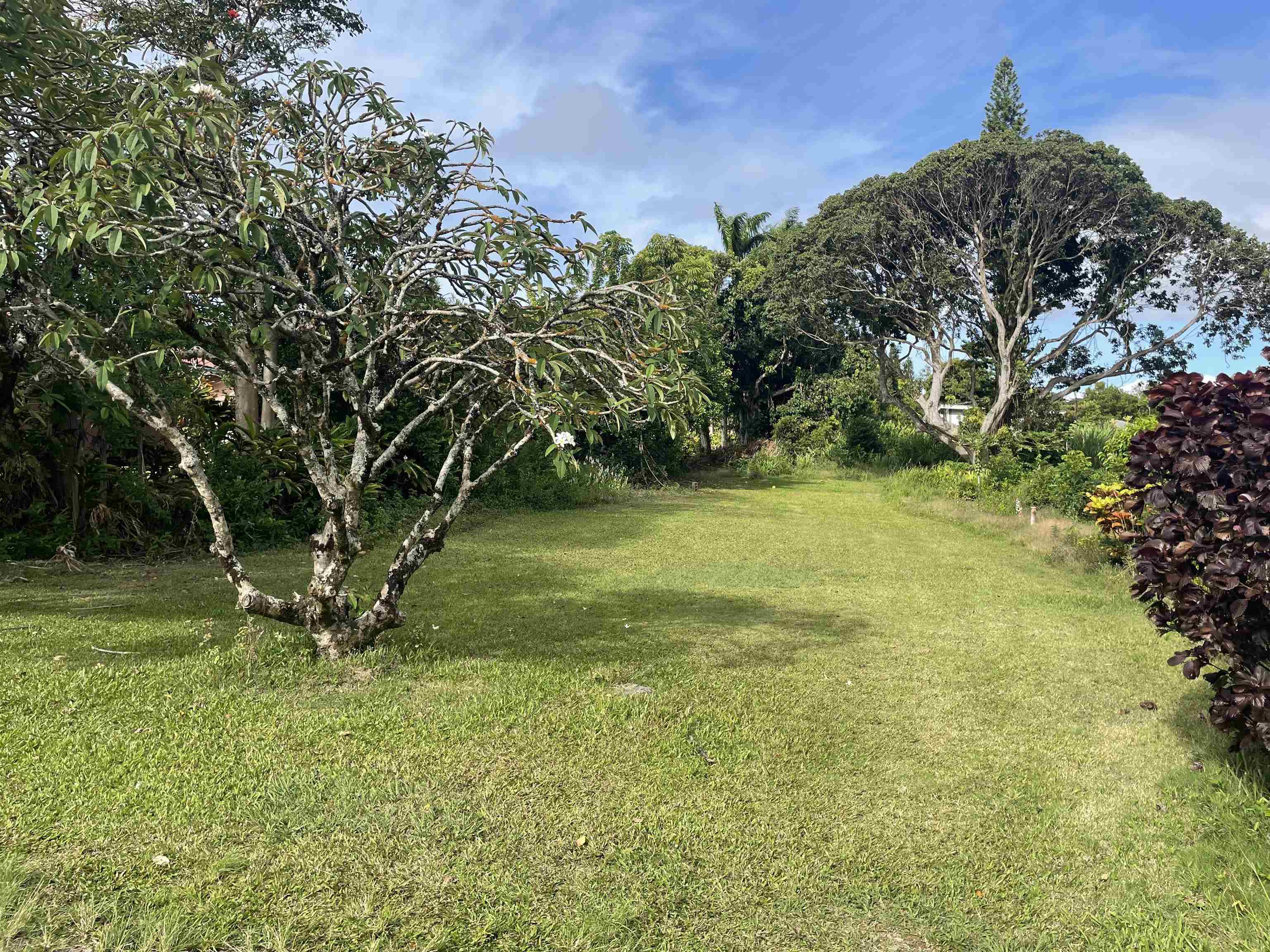 Maui Property Image