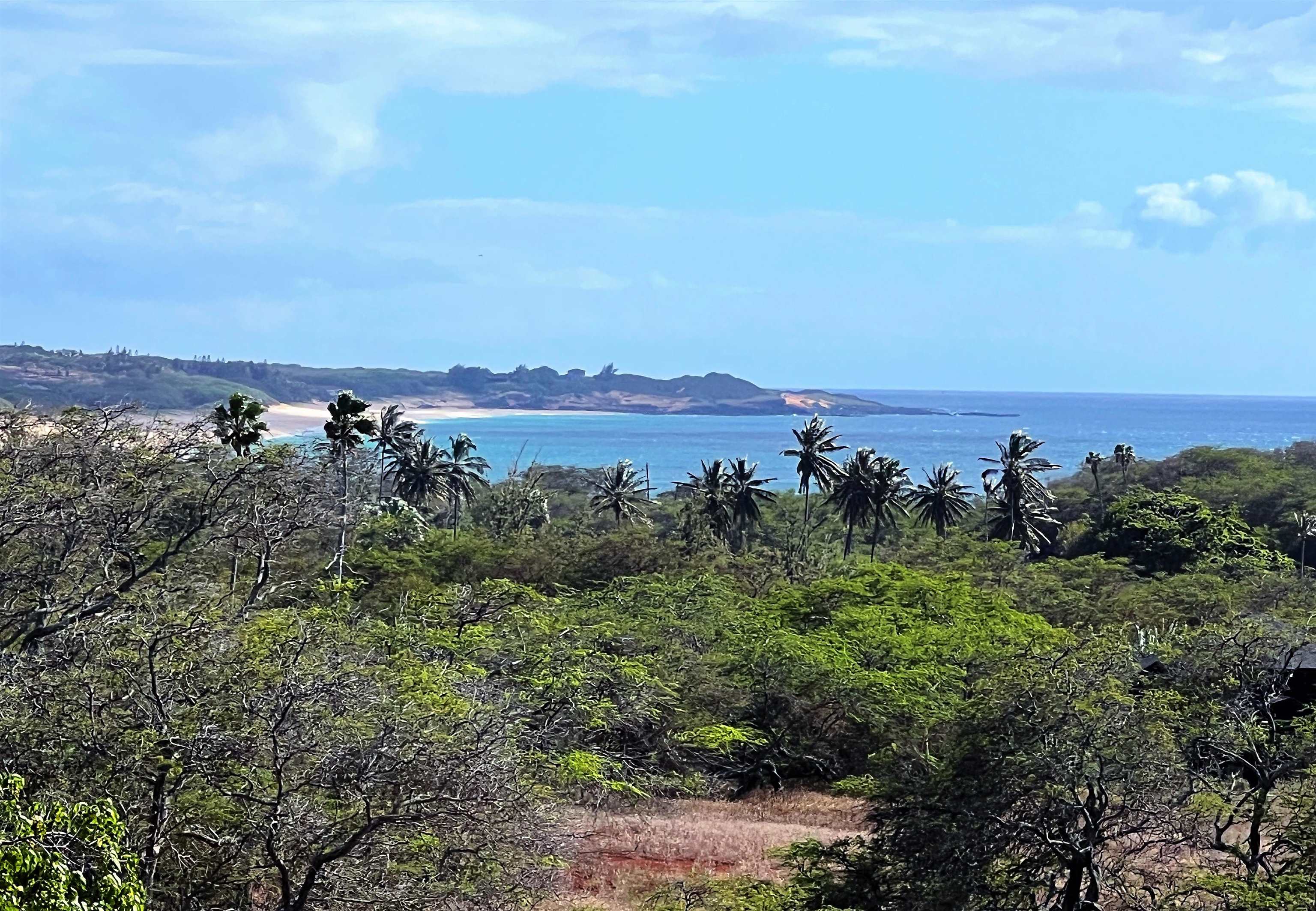 Maui Property Image