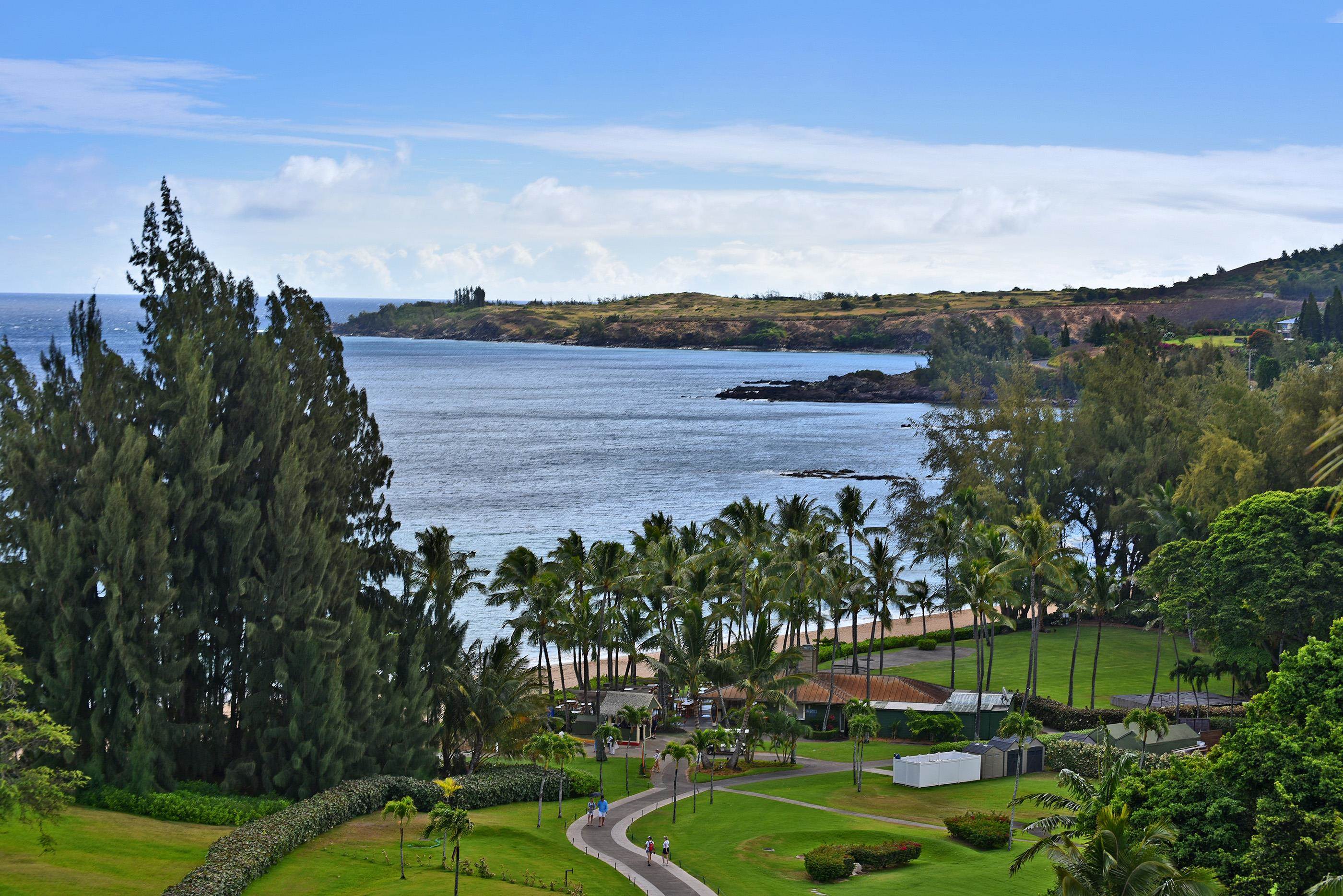 Maui Property Image