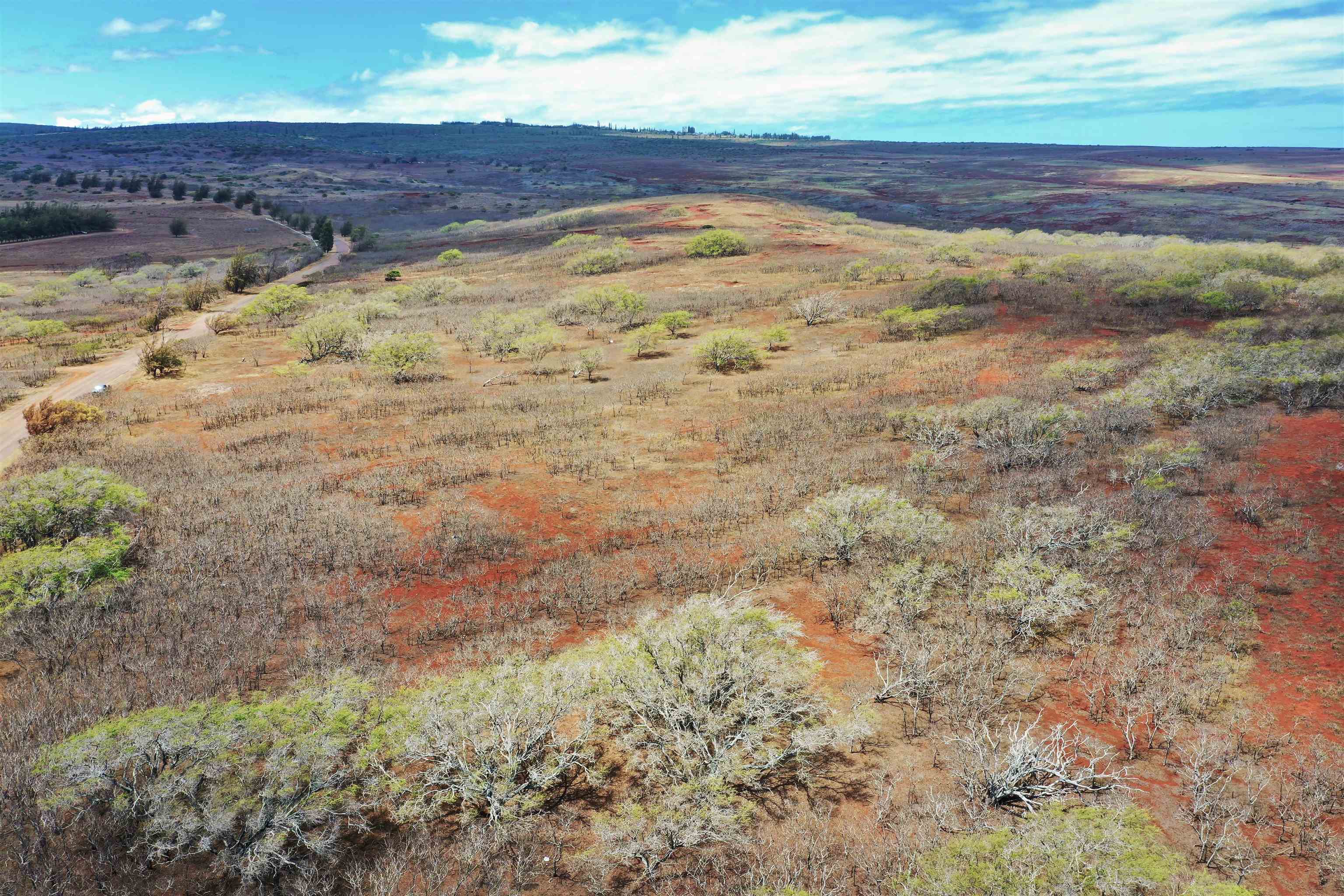 Maui Property Image