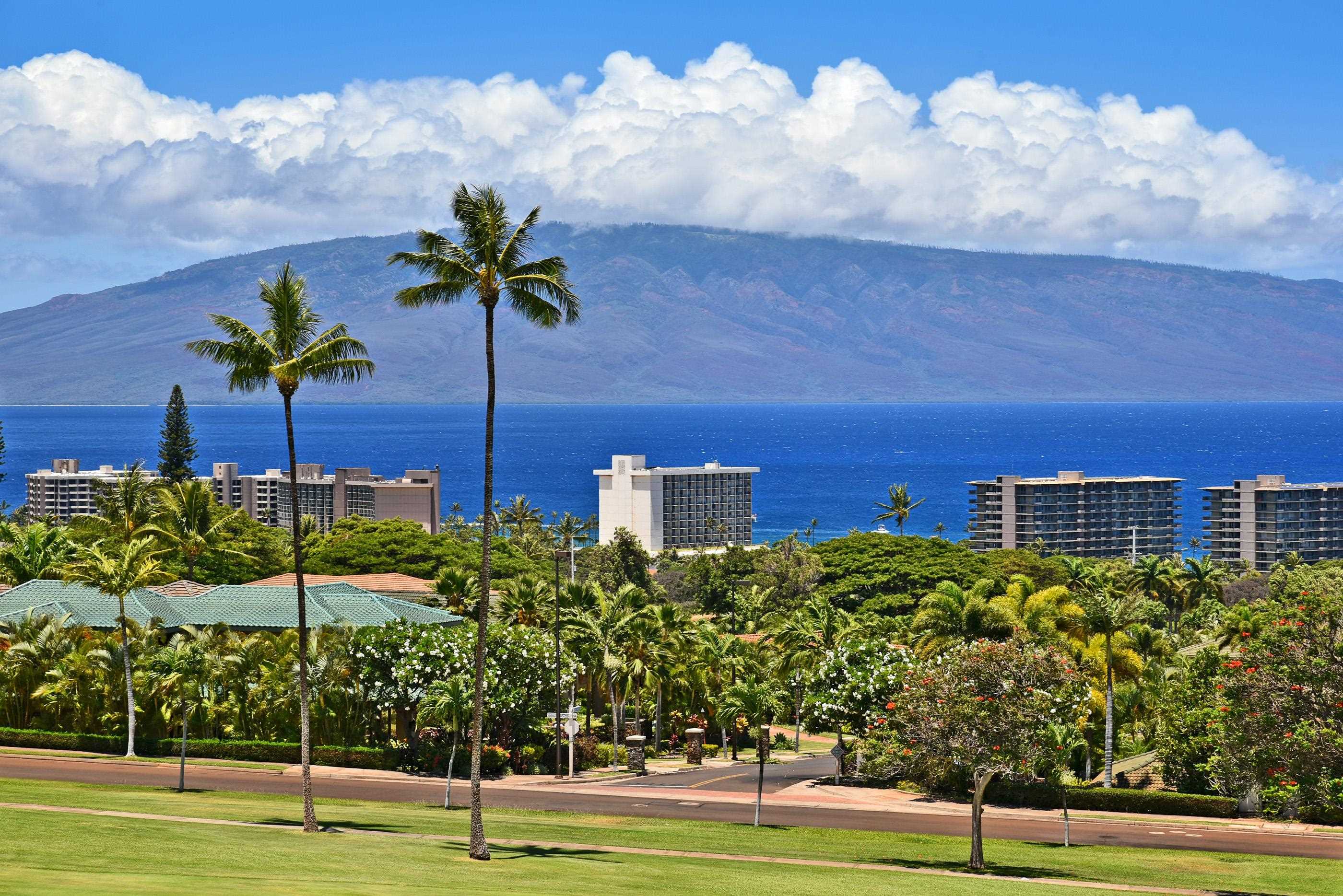 Maui Property Image