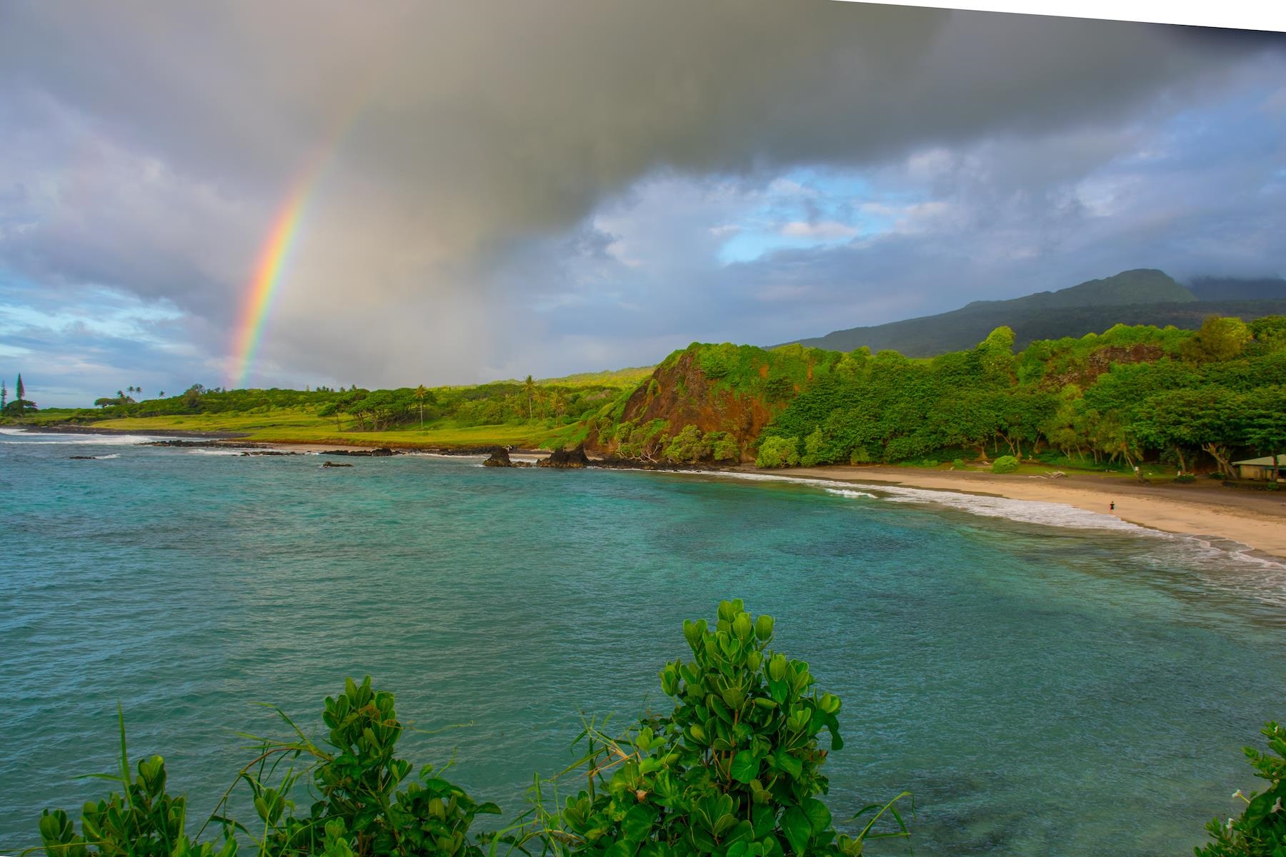 Maui Property Image