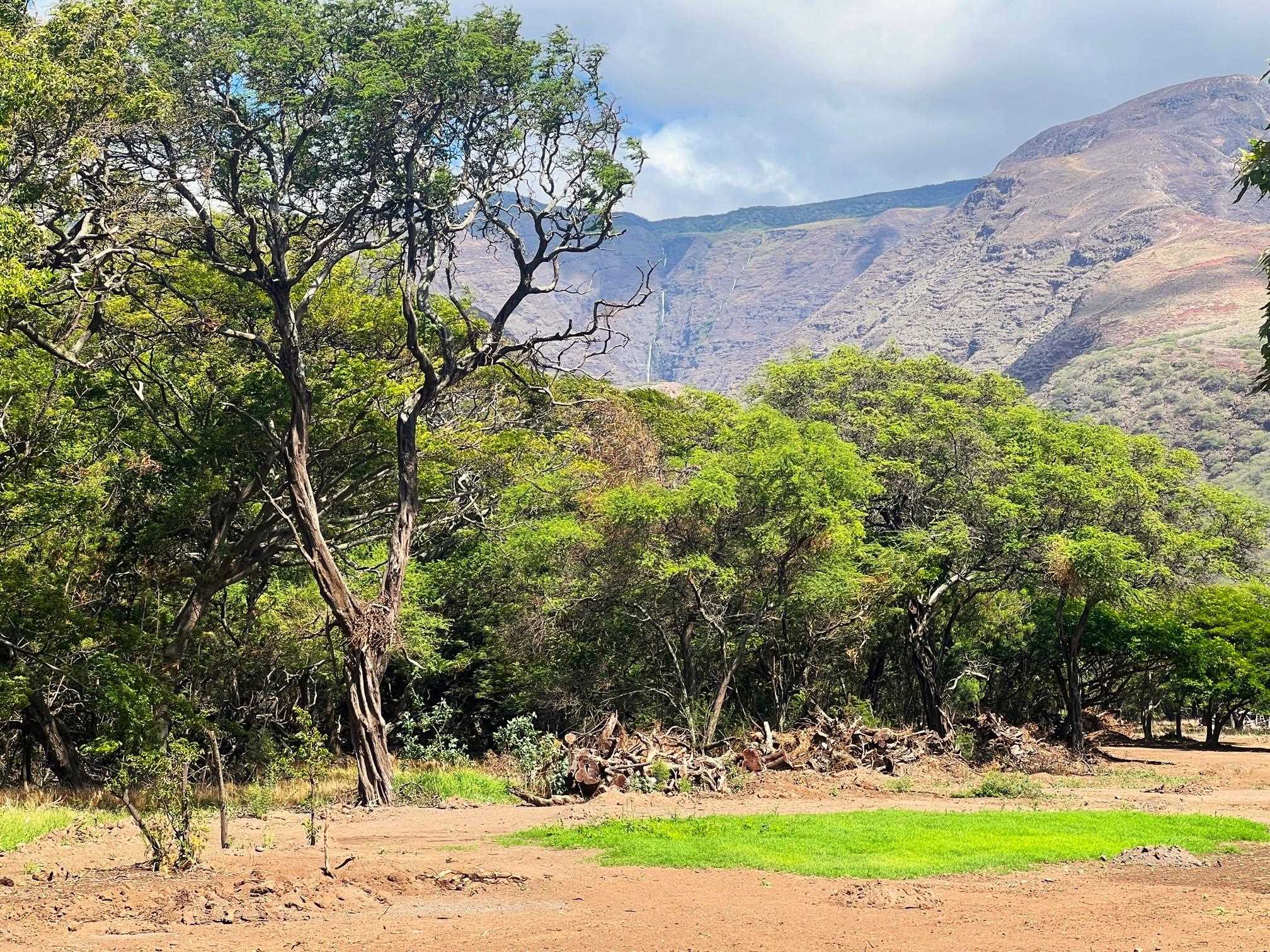 Maui Property Image