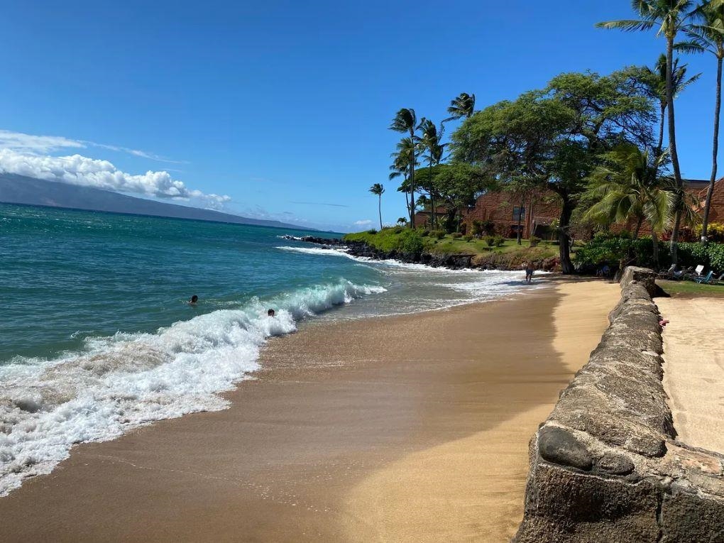 Maui Property Image