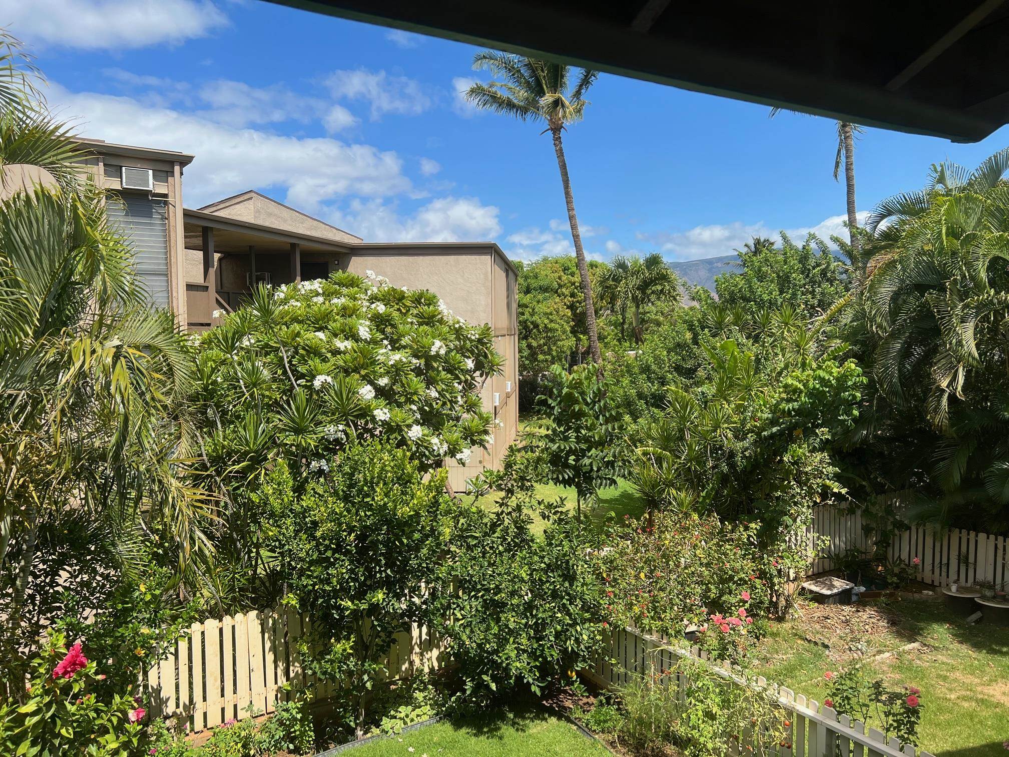 Maui Property Image