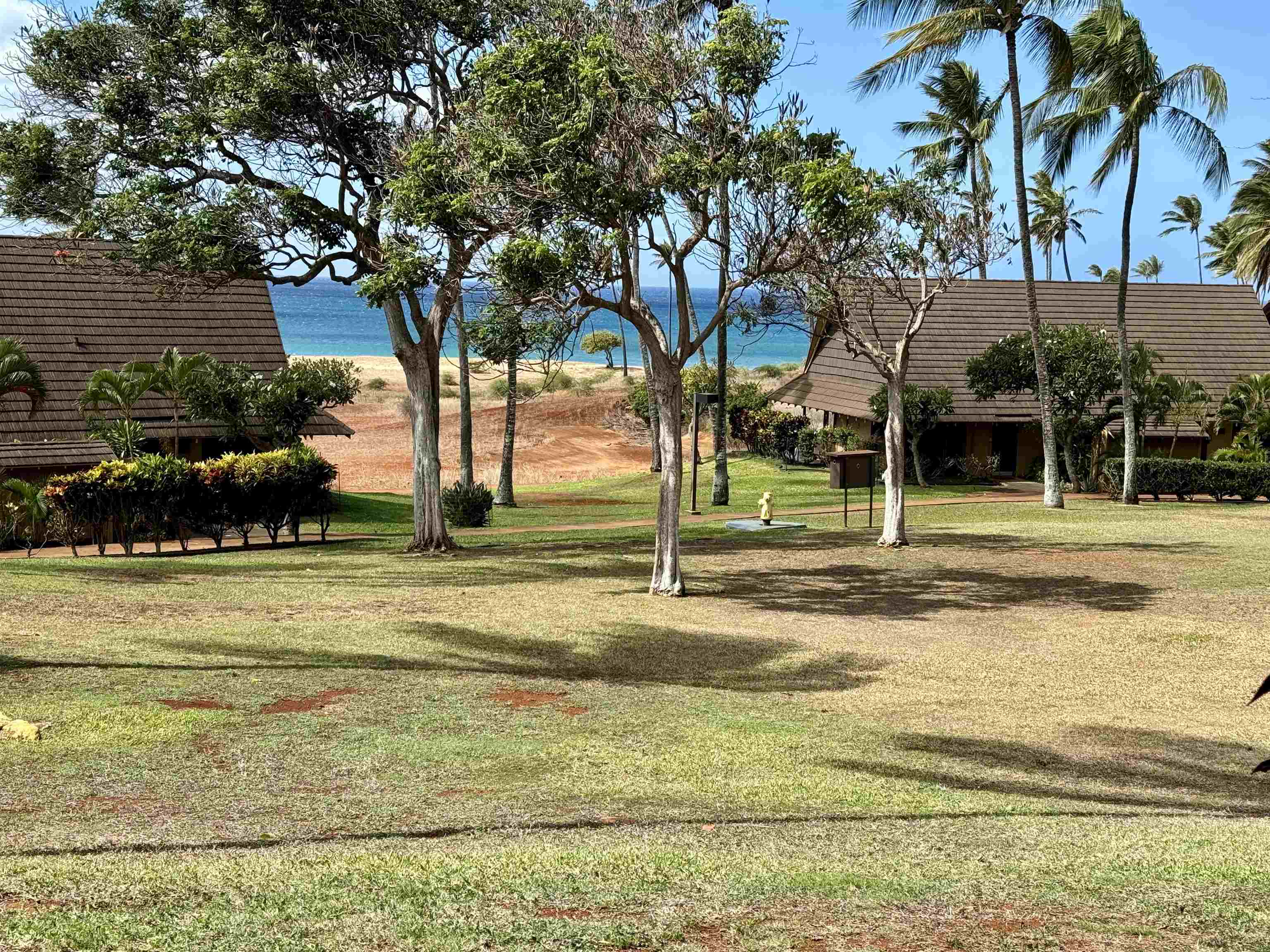 Maui Property Image