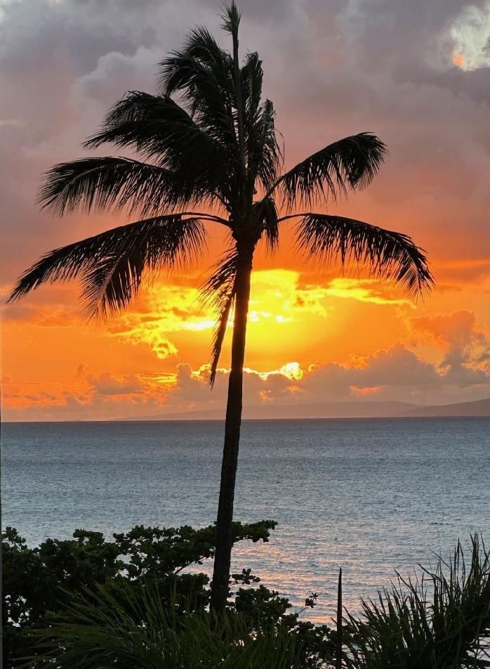 Maui Property Image