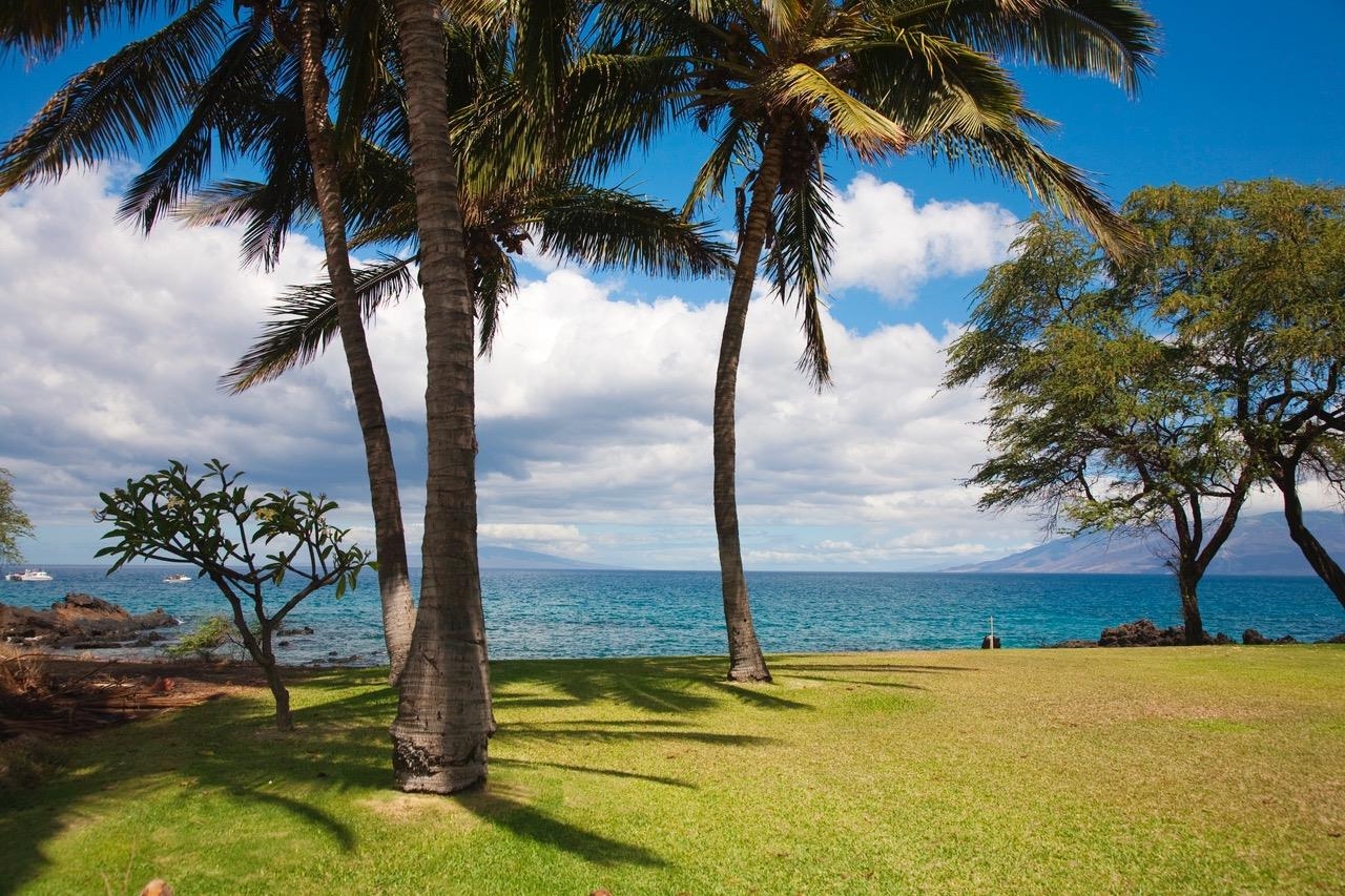 Maui Property Image