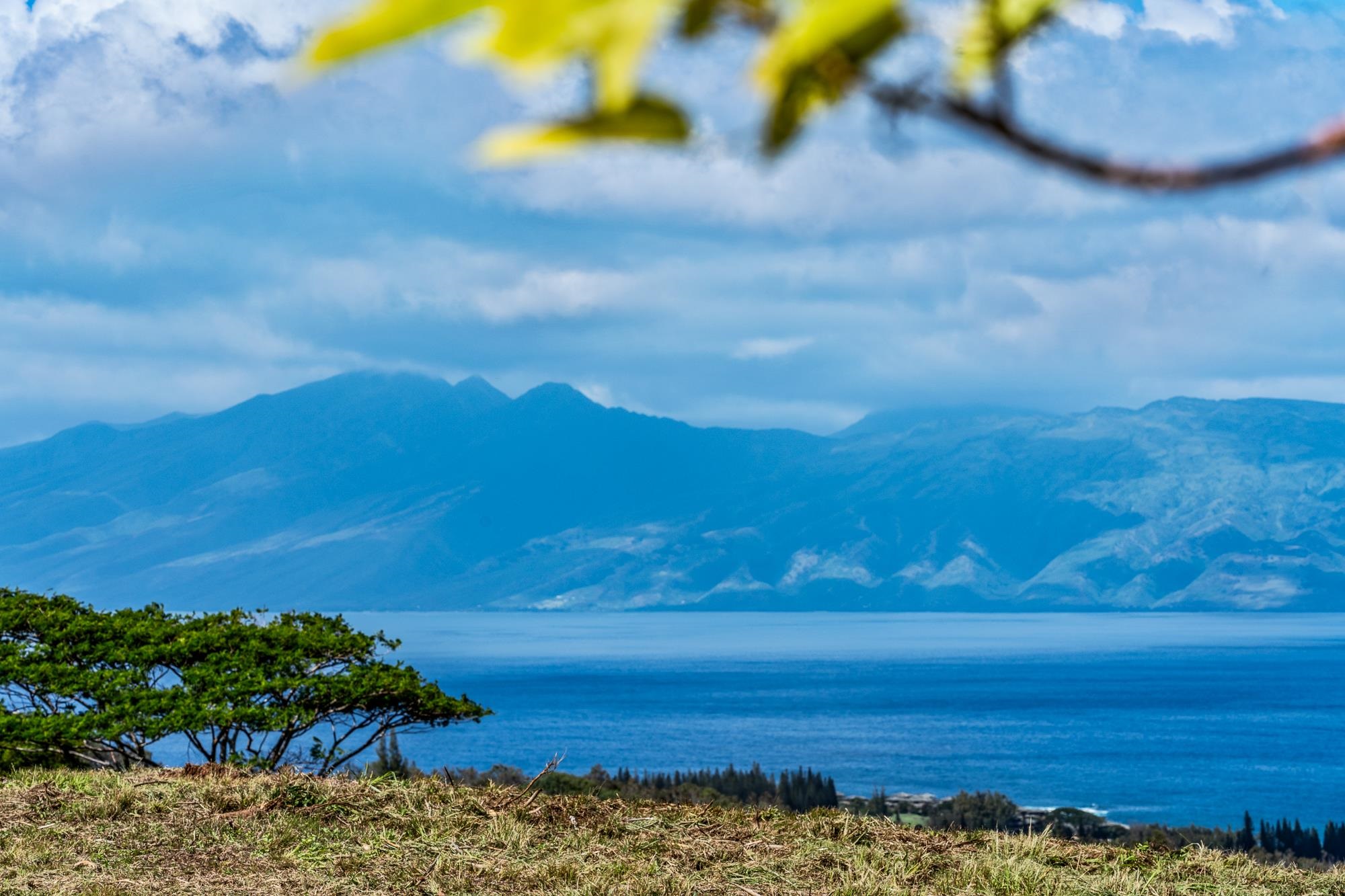 Maui Property Image