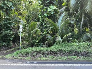 MauiRealEstate.Net: Comparable Sold