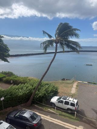 MauiRealEstate.Net: Comparable Sold