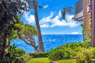 MauiRealEstate.Net: Comparable Sold