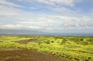 MauiRealEstate.Net: Comparable Sold