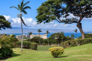 MauiRealEstate.Net: Comparable Sold