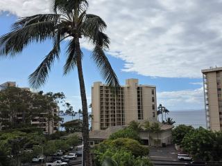 MauiRealEstate.Net: Comparable Sold