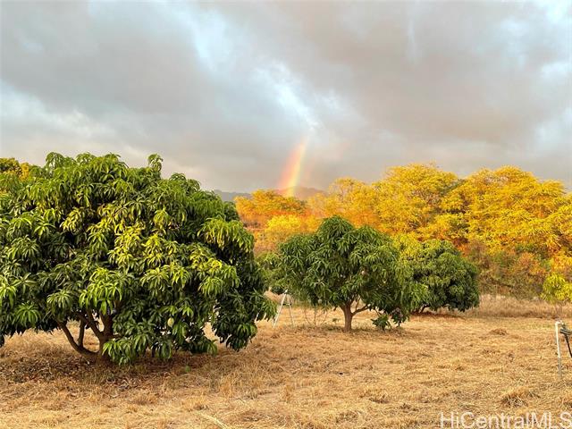 Oahu Property Image